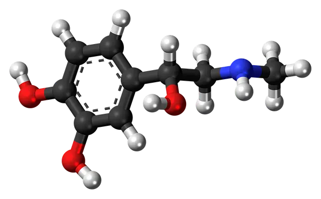 adrenaline, epinephrine, hormone